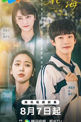 黄金大盗 封面图